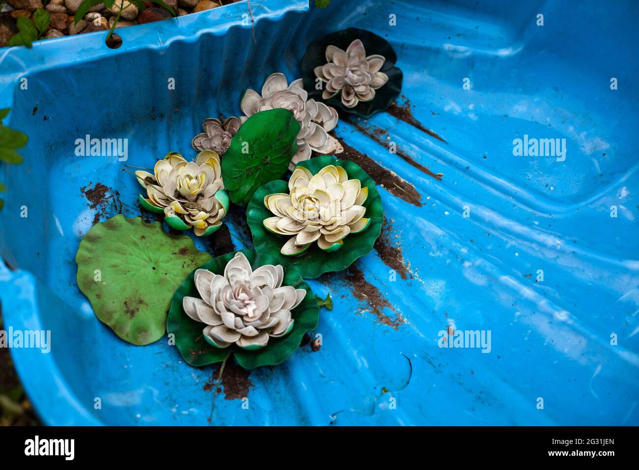 Dirty lotus pool. Artificial lotuses decorate the pond. Abandoned pool in the garden. Bath without water at the summer cottage. Stock Photo