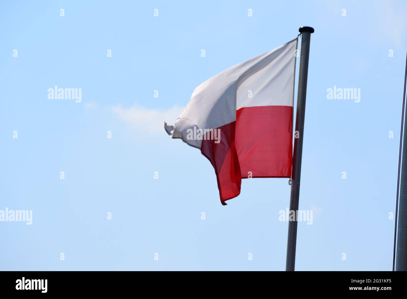 Polish flag in the wind Stock Photo Alamy