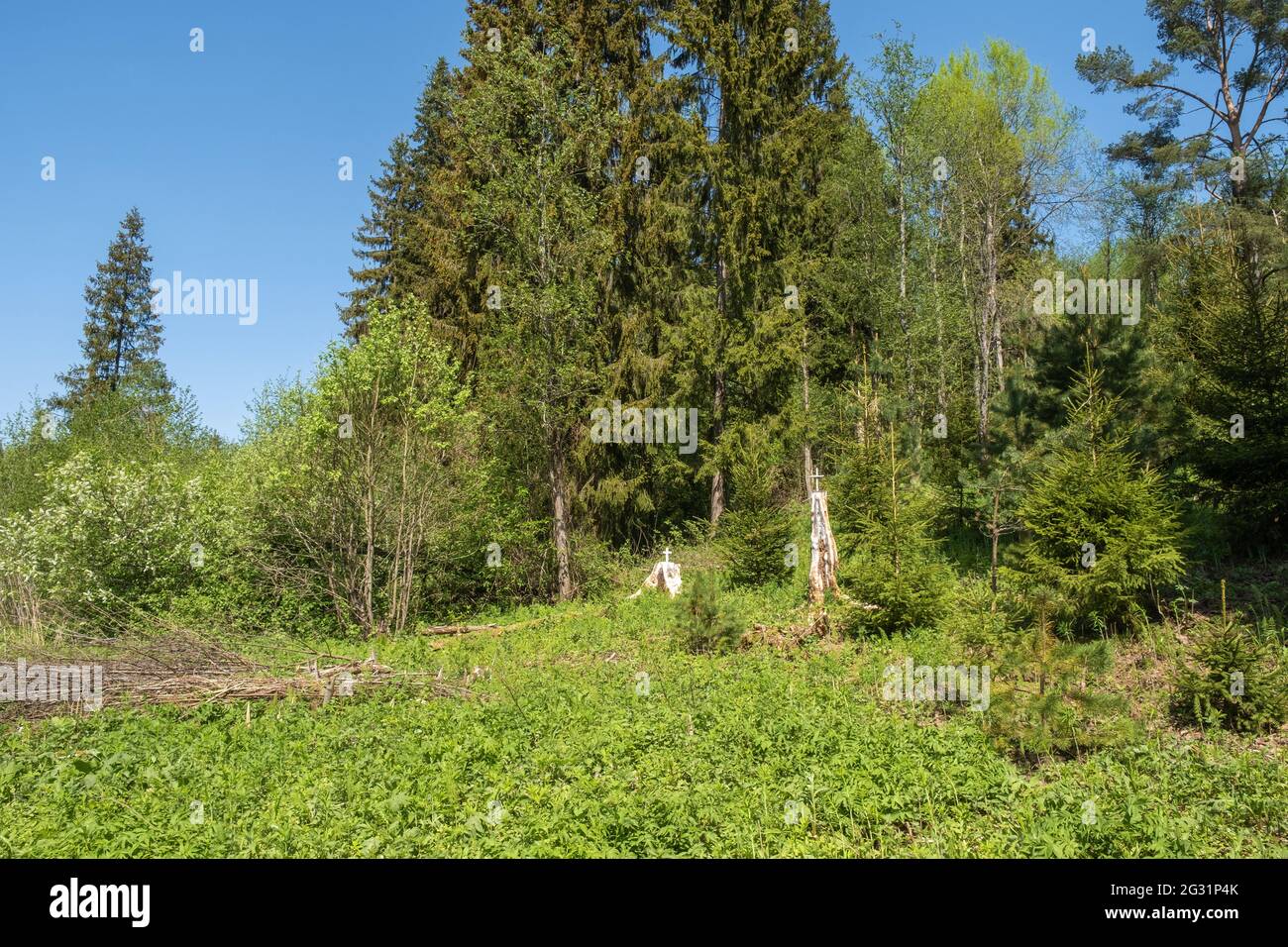 White high stumps decorated with a cross on the holy spring of St ...