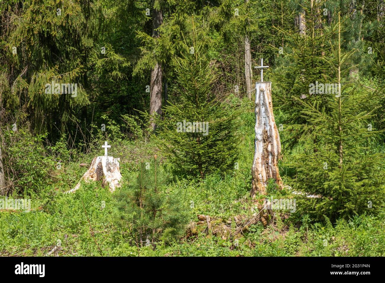 White high stumps decorated with a cross on the holy spring of St ...