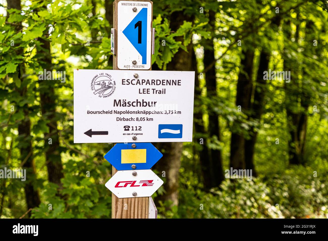 Signs on the Escardienne LEE Trail hiking trail. Walking from station to station is well signposted in Luxembourg. The lower sign 'CFL' is an indication that the route also passes through a train station. Throughout the country there are these CFL hiking trails with a train station at the beginning and at the end. So you can just get on and go back to the starting point for free Stock Photo