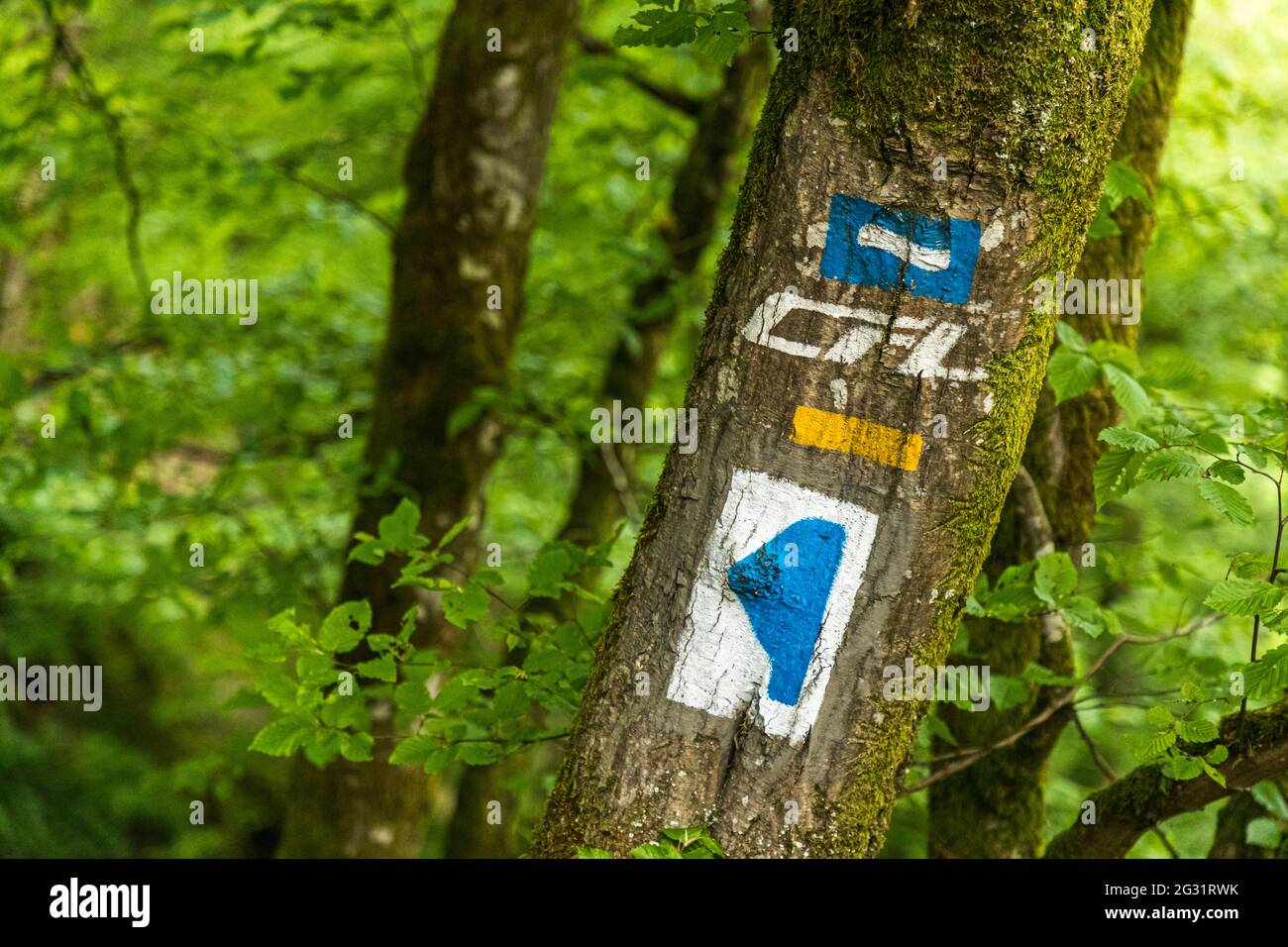 Signs on the Escardienne LEE Trail hiking trail near Lipperscheid, Luxembourg Stock Photo