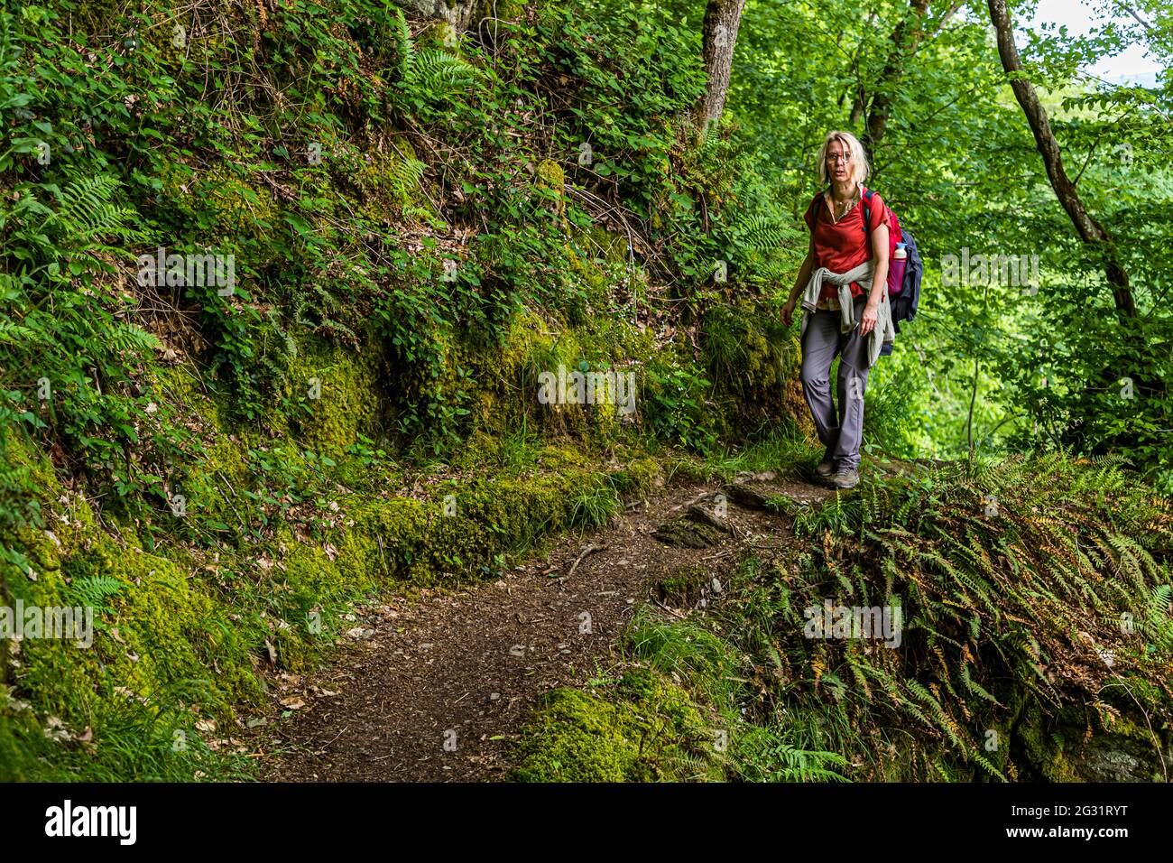 Hiking on the Escardienne LEE Trail hiking trail near Lipperscheid, Luxembourg Stock Photo
