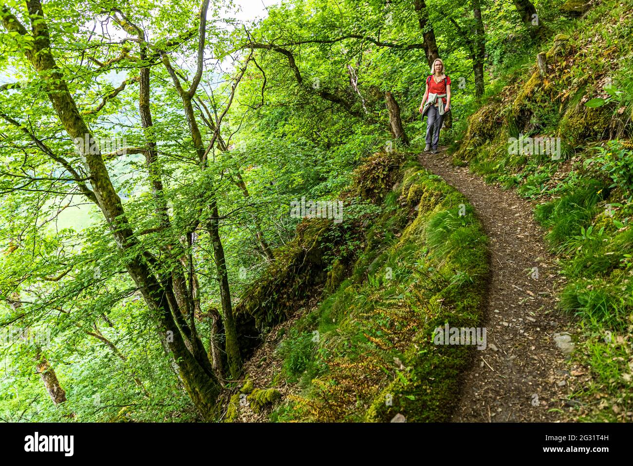 From north to south, beautiful hiking routes and circular trails crisscross Luxembourg's varied landscape Stock Photo