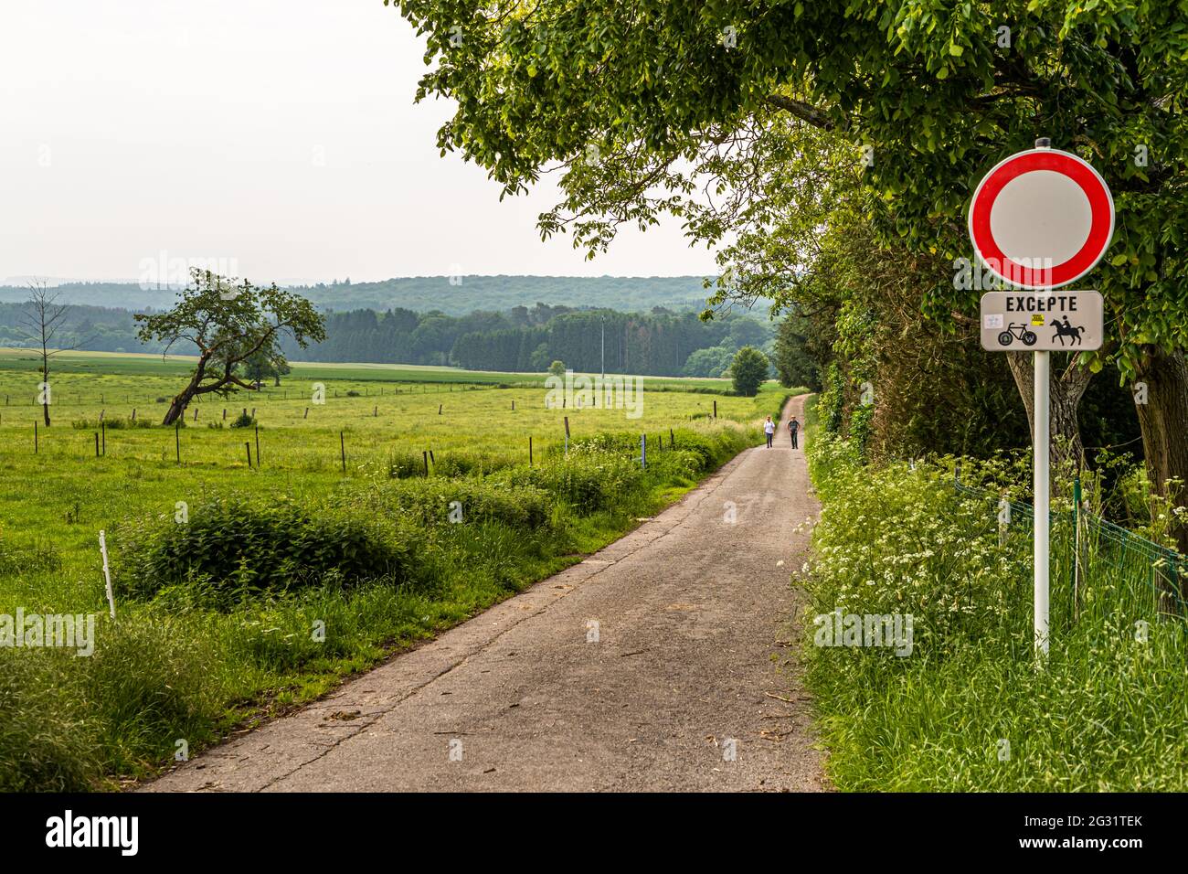 Asphalted hiking trail near Berdorf, Luxembourg. The starting point of the day's stage through the Müllerthal is Berdorf. A dirt road leads straight out of the village in the direction of the forest and after just a few minutes' walk you are in another world. Stock Photo