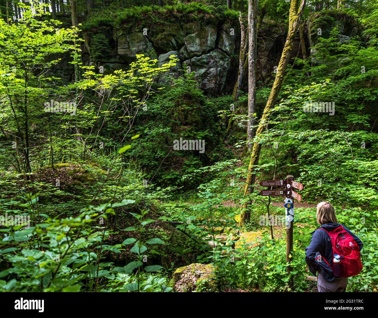 Hiking trail through the Mullerthal valley near Berdorf, Luxembourg Stock Photo