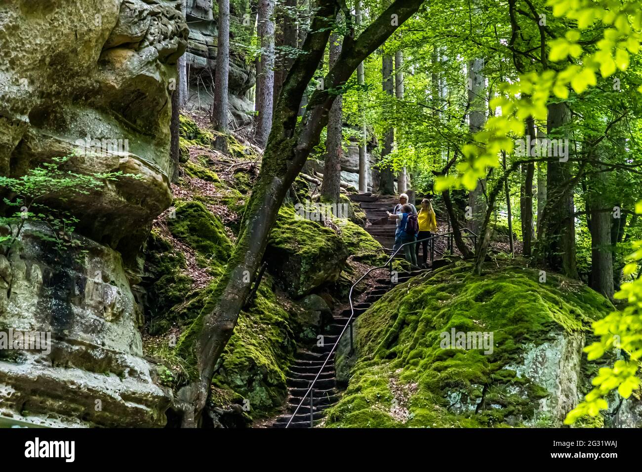 The Mullerthal is known for its rock formations of sandstone. The outer staircase of the large rock Perekop. You can also walk through the middle of the rock via a steep ladder. Berdorf, Luxembourg Stock Photo