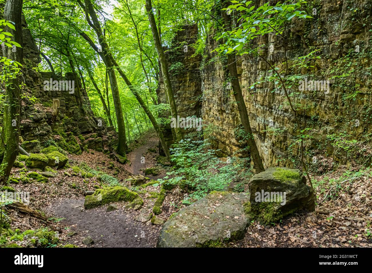 The rocks to the right and left of the path are getting closer and closer. The Wolf Gorge is no longer far. Hiking trail through the Wolf Gorge in the Mullerthal Valley near Echternach, Luxembourg Stock Photo