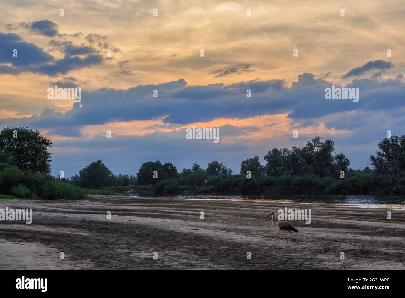 River landscape on the sunset Stock Photo - Alamy