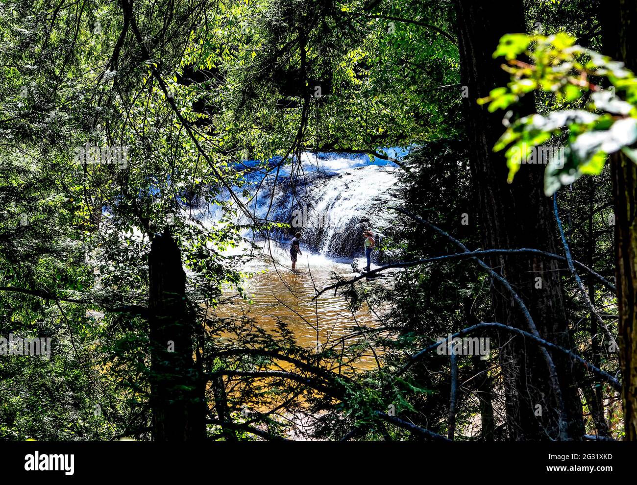 Swallow Falls State Park in Maryland Stock Photo Alamy