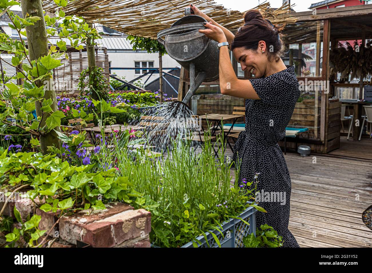Urban Gardening on the Rooftop of Graace Hotel in Luxembourg Stock Photo
