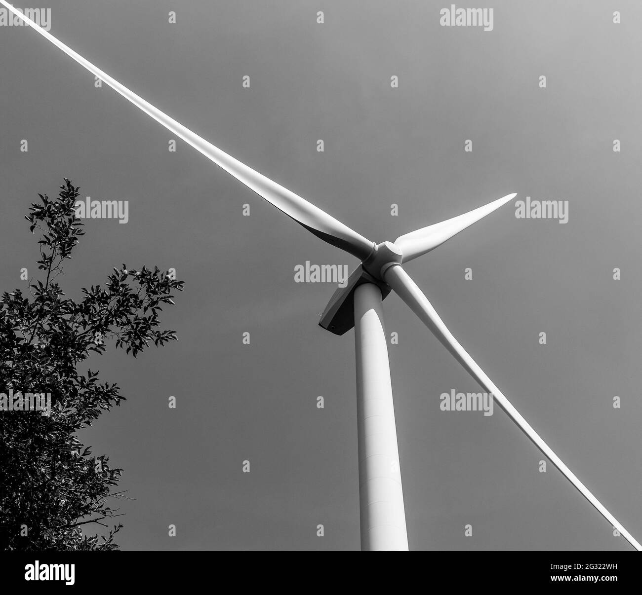 A wind turbine Stock Photo Alamy