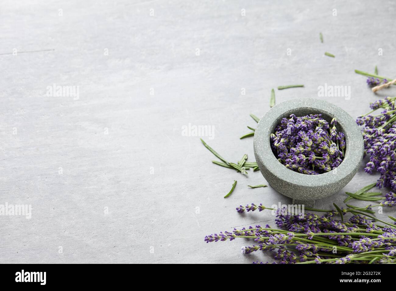 Lavender blossoms bowl on gray concrete background Stock Photo