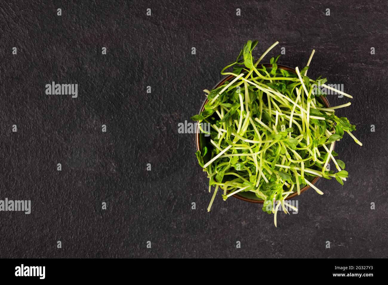 Bowl with peas microgreens on black background top view. Sprouted seeds. Healthy eating sprouts. Stock Photo