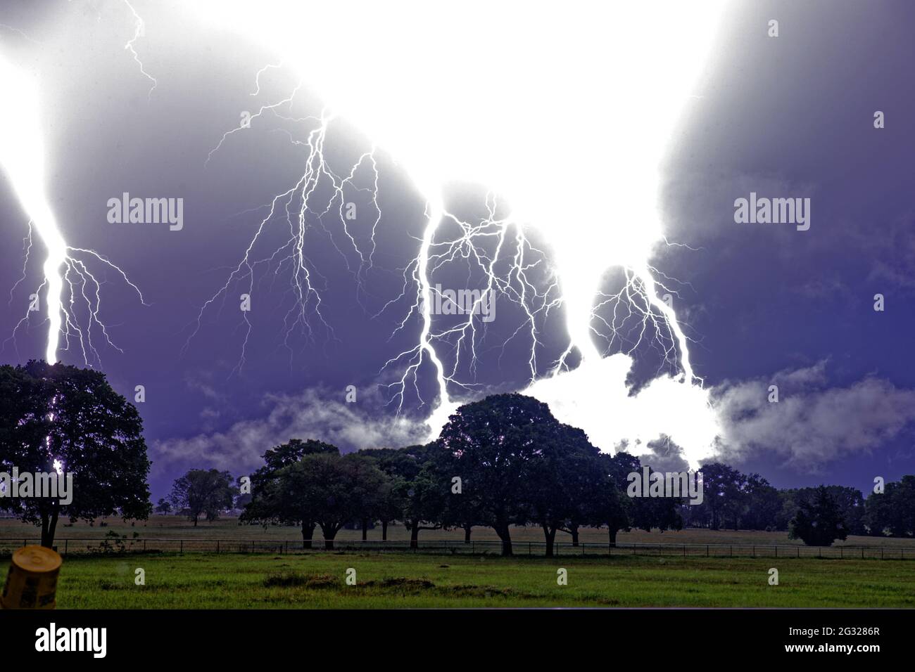 A landscape of massive lightning above a garden covered in greenery on