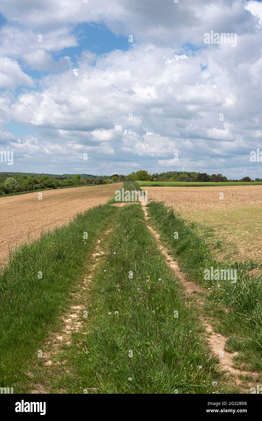 blue sky with white clouds over a rural landscape in springtime Stock ...