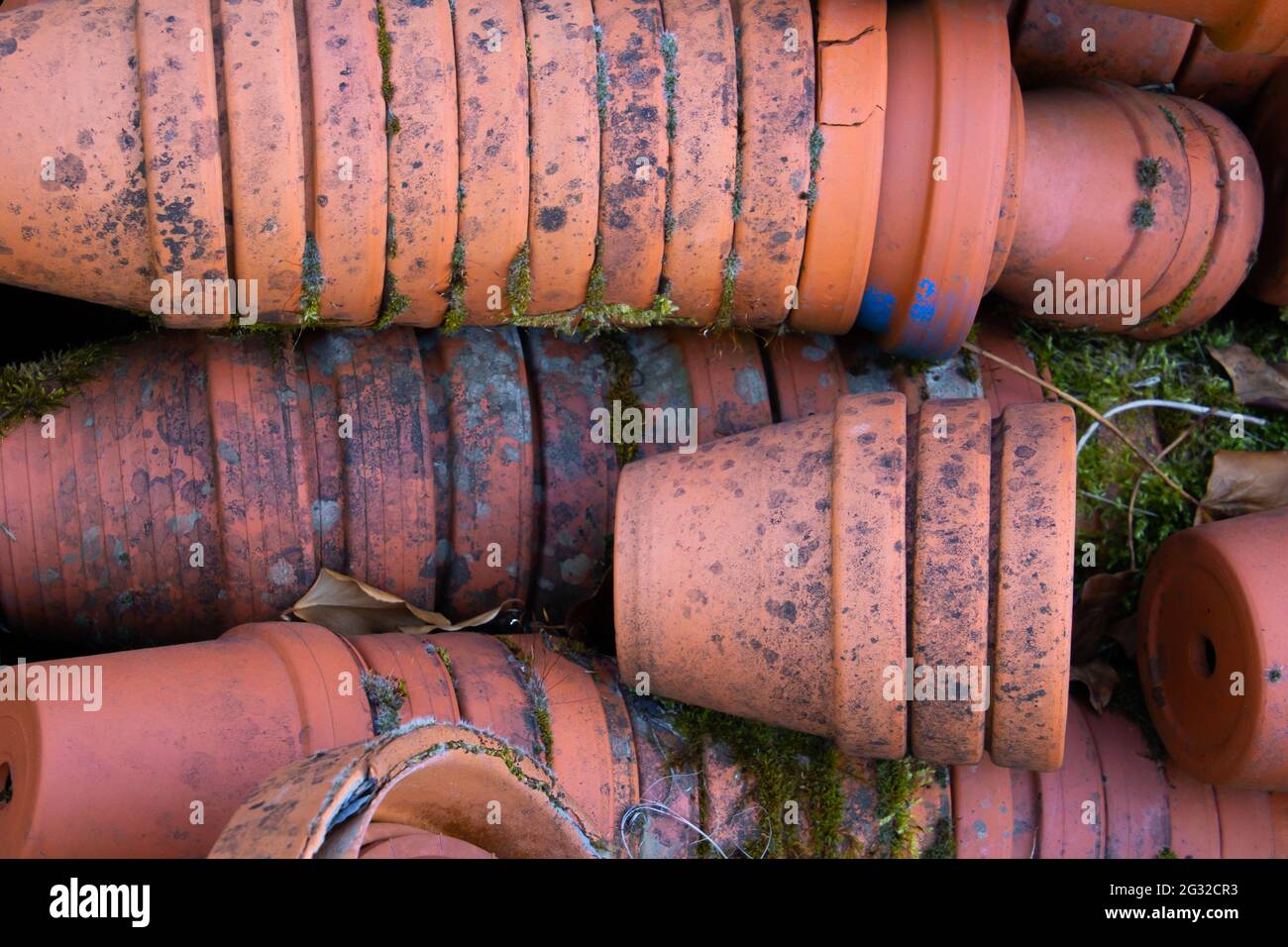 https://c8.alamy.com/comp/2G32CR3/dirty-stacked-terracotta-flower-pots-laying-on-the-floor-of-a-greenery-2G32CR3.jpg