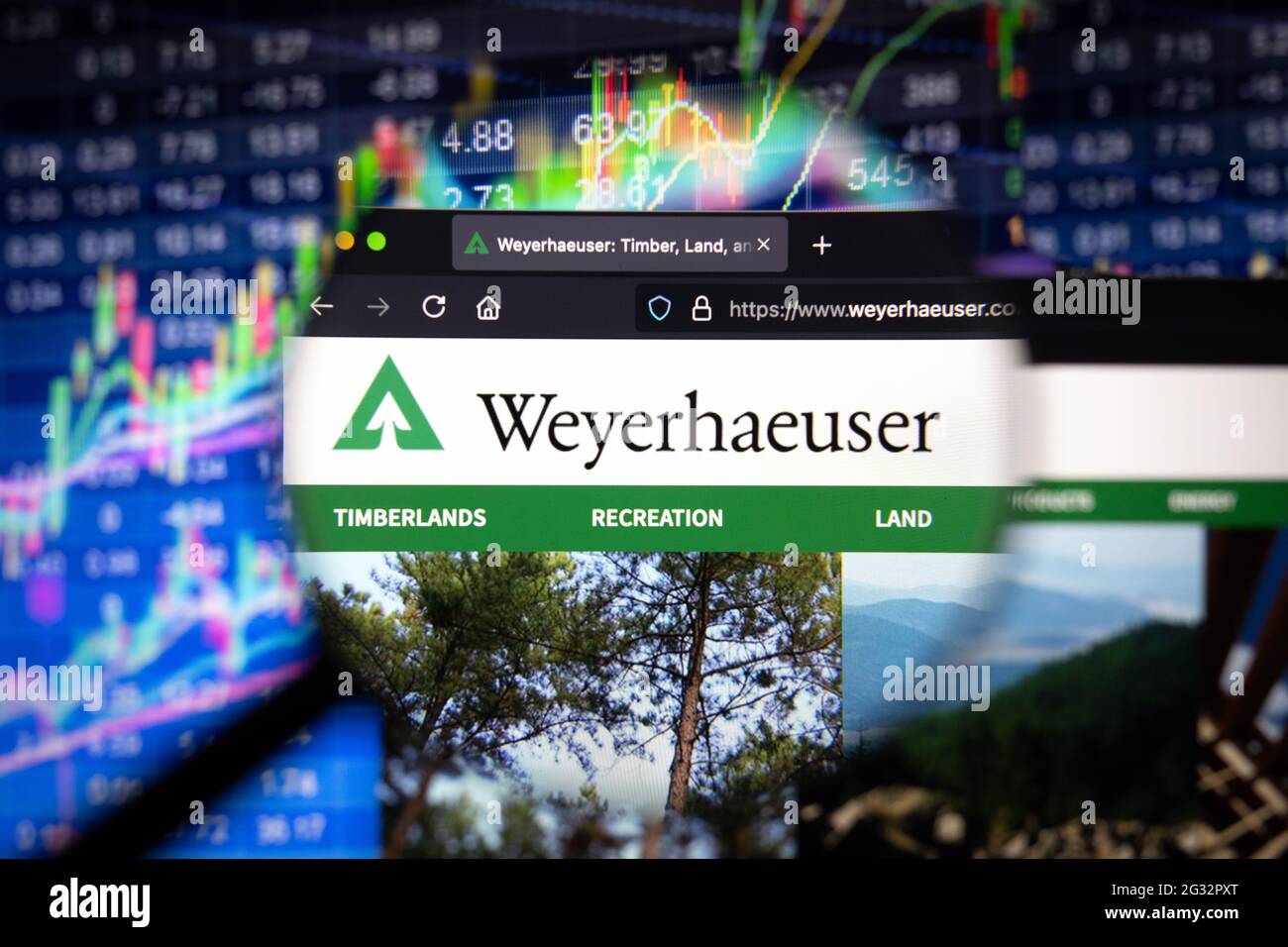 Weyerhaeuser company hires stock photography and images Alamy
