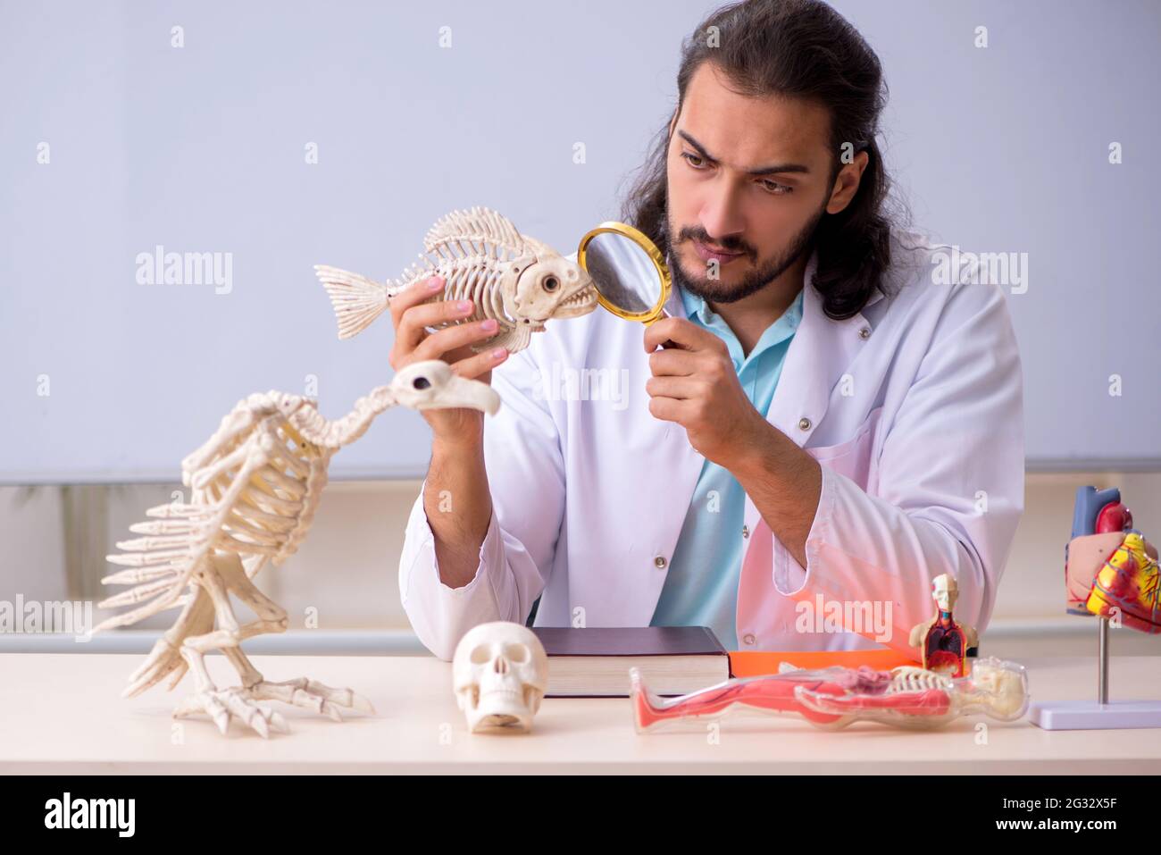 Young zoologist examining fish skeleton Stock Photo - Alamy