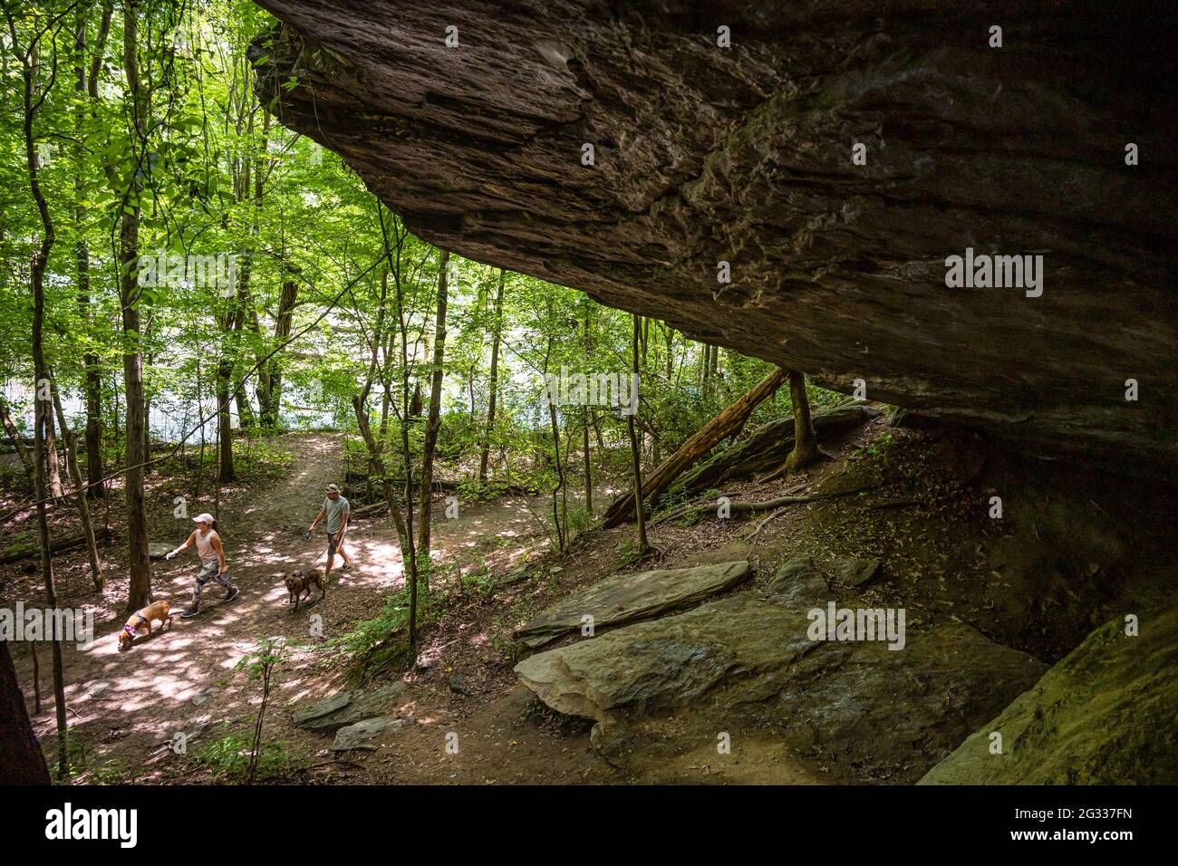 Couple walking their dogs on a Chattahoochee River trail in Sandy Springs, GA, beneath a rock ledge thought to be an ancient Native American shelter. Stock Photo