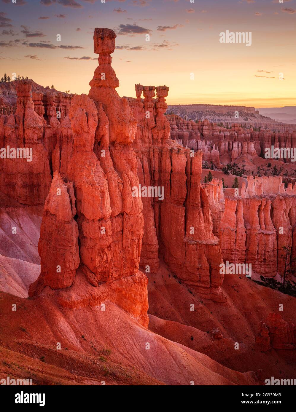 BRYCE, UTAH - CIRCA AUGUST 2020: Sunrise over Thor's Hammer. An iconic  hoodoo and rock formation in Bryce Canyon National Park, Utah. Stock Photo