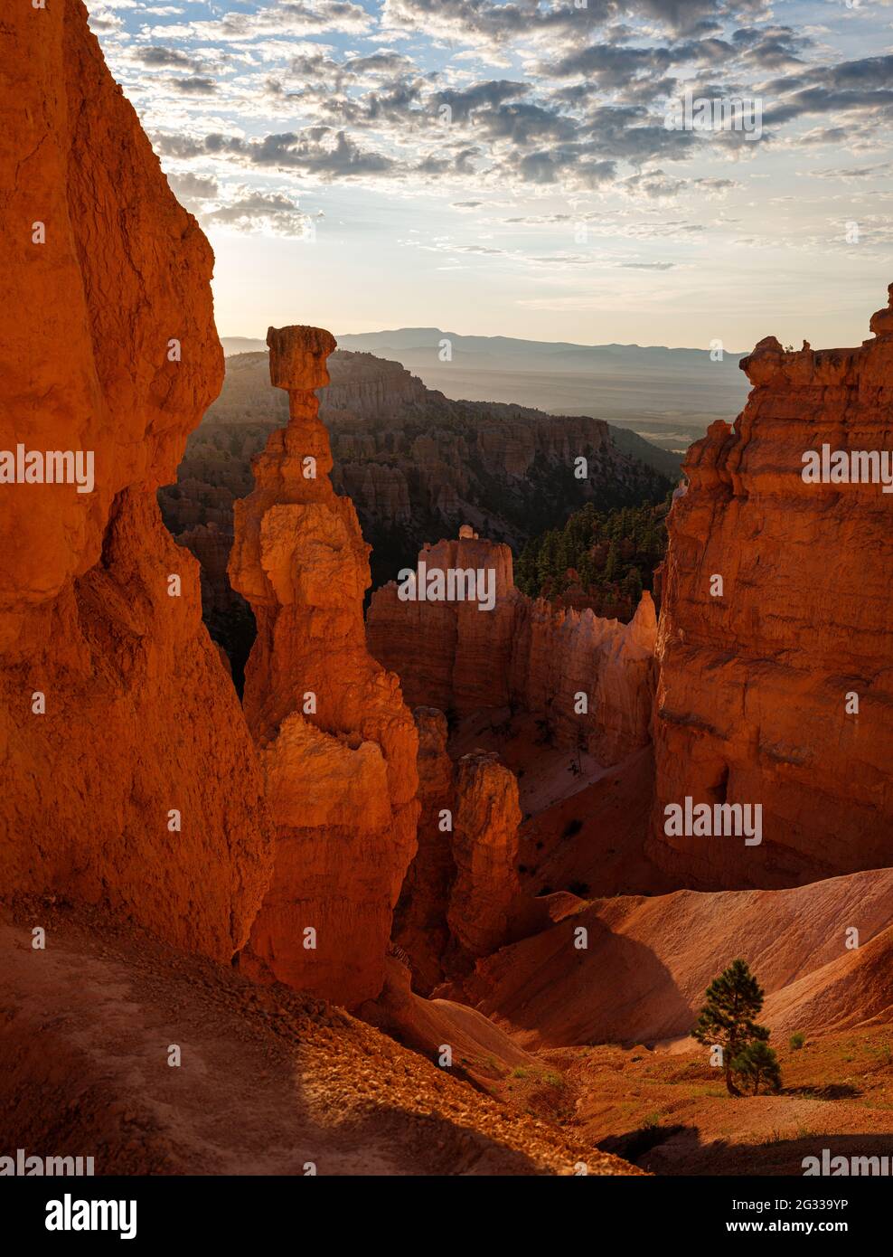 BRYCE, UTAH - CIRCA AUGUST 2020: Sunrise over Thor's Hammer. An iconic  hoodoo and rock formation in Bryce Canyon National Park, Utah. Stock Photo