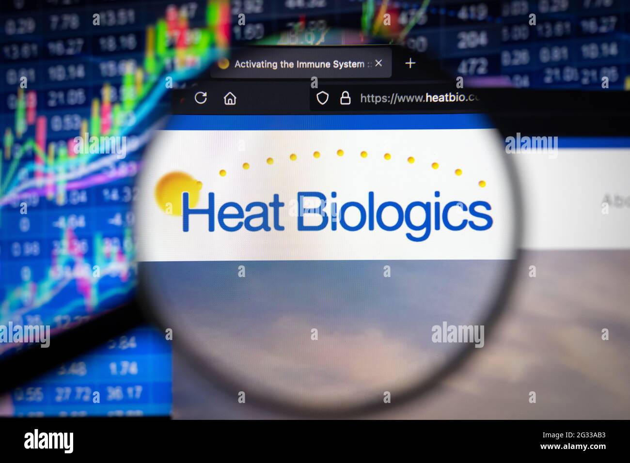 Heat Biologics company logo on a website with blurry stock market developments in the background, seen on a computer screen through a magnifying glass Stock Photo