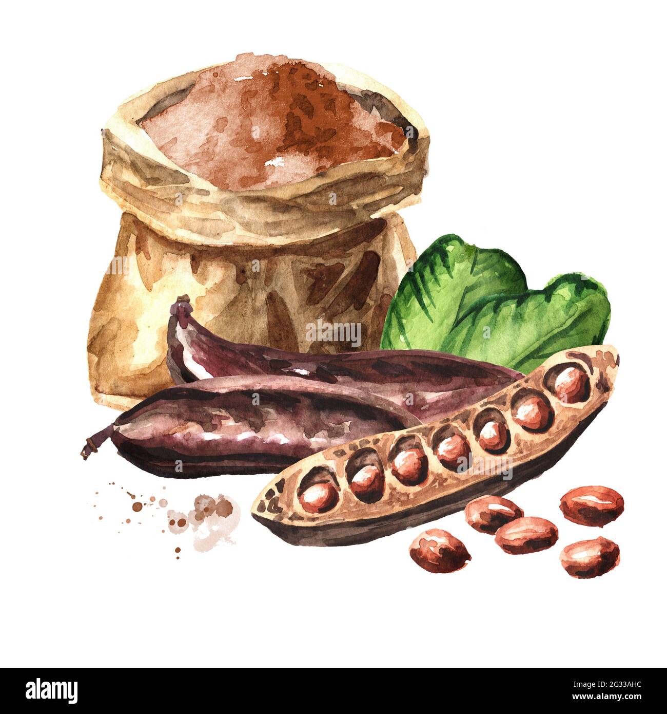 Carob pods, beans and powder in the paper bag. Hand drawn watercolor illustration isolated on
