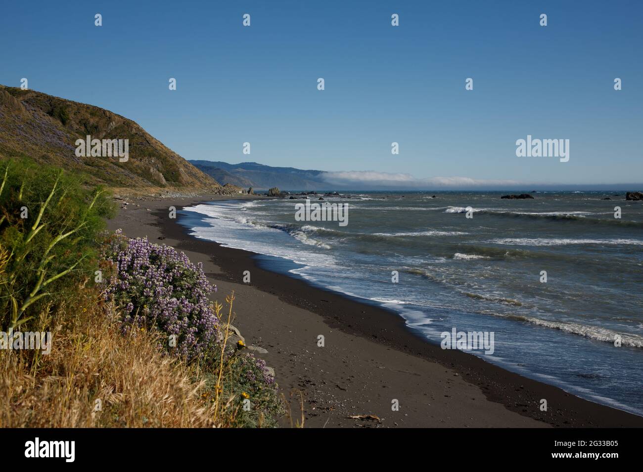 Black sand beach on the Lost Coast, Humboldt County, California Stock
