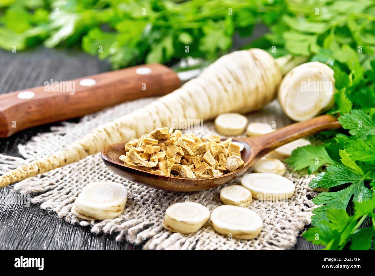 Fresh whole and chopped parsley roots with green tops, dried root in a spoon on burlap napkin, a knife on wooden board background Stock Photo
