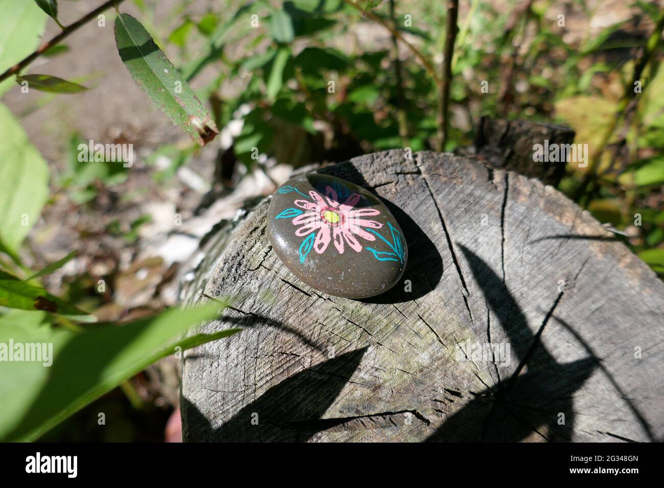 Kindness rock with hand painted flower Stock Photo
