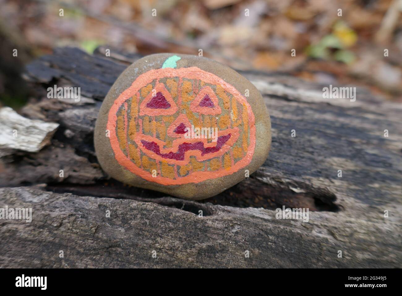 Orange jack o lantern painted on a kindness rock sitting on log Stock Photo
