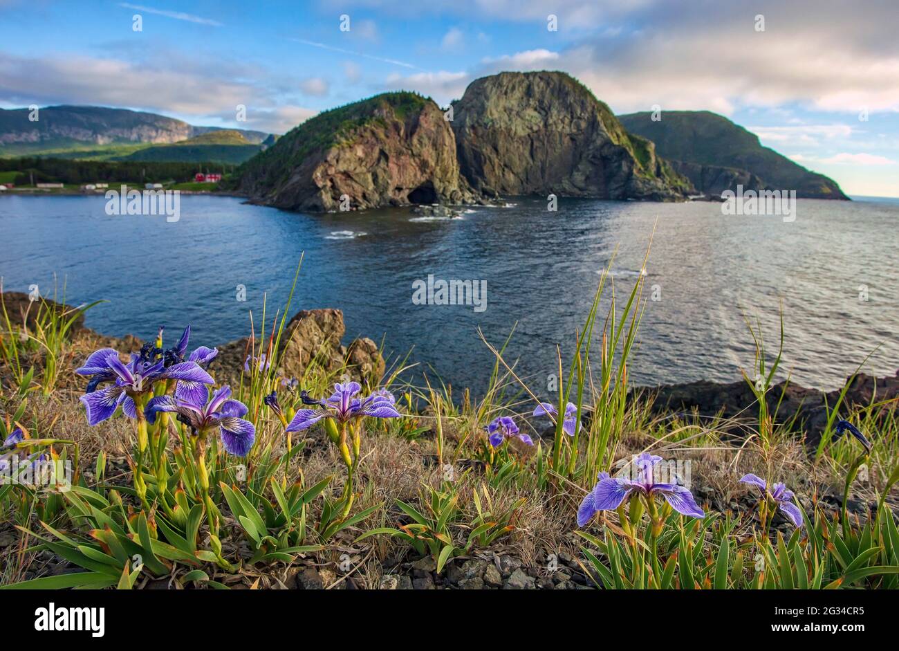 Scenic sunset view of Bottle Cove near Lark Harbour, Newfoundland Stock