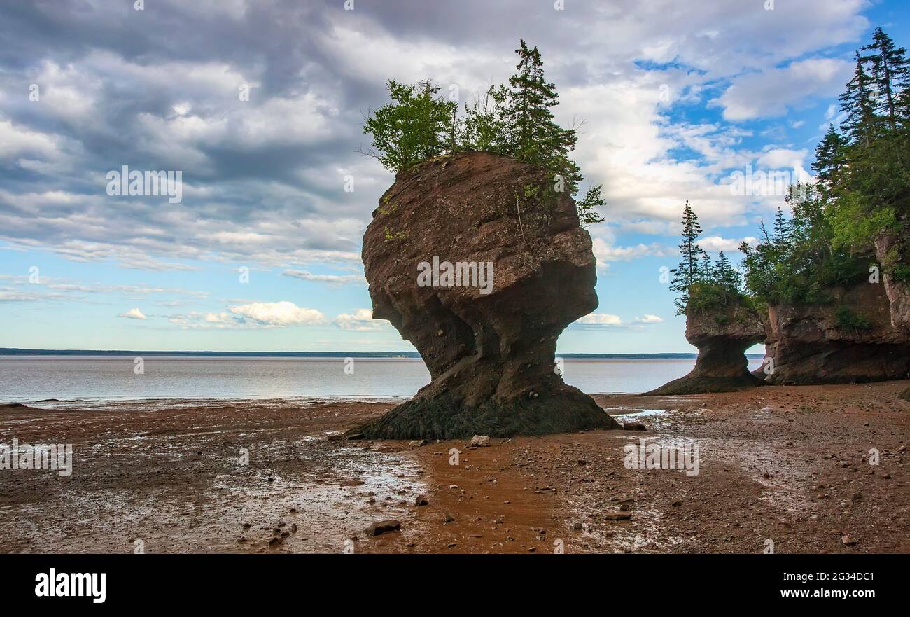 Flowerpot rock formations at Hopewell Rocks in Nova Scotia, Canada