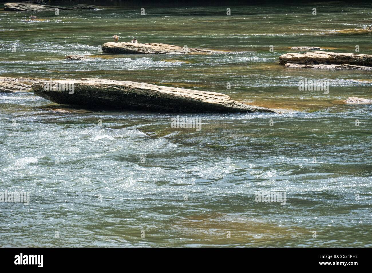 Chattahoochee River flowing between Sandy Springs and Roswell, Georgia in the Chattahoochee River National Recreation Area. (USA) Stock Photo
