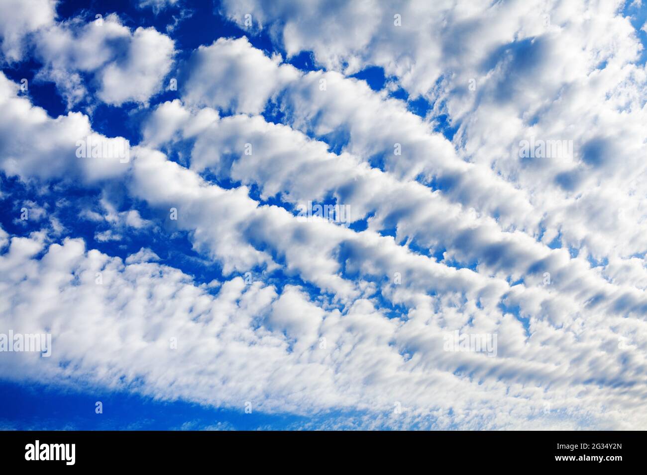 White cirrocumulus clouds blue sky background, fluffy stratocumulus cloud texture, altocumulus cloudy skies, beautiful cirrus cloudscape, cloudiness Stock Photo