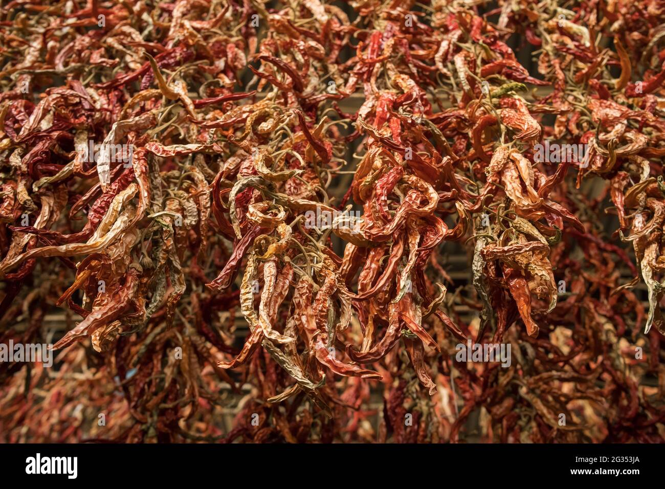 Dried chili pepper hanging on the market in Turkey Stock Photo