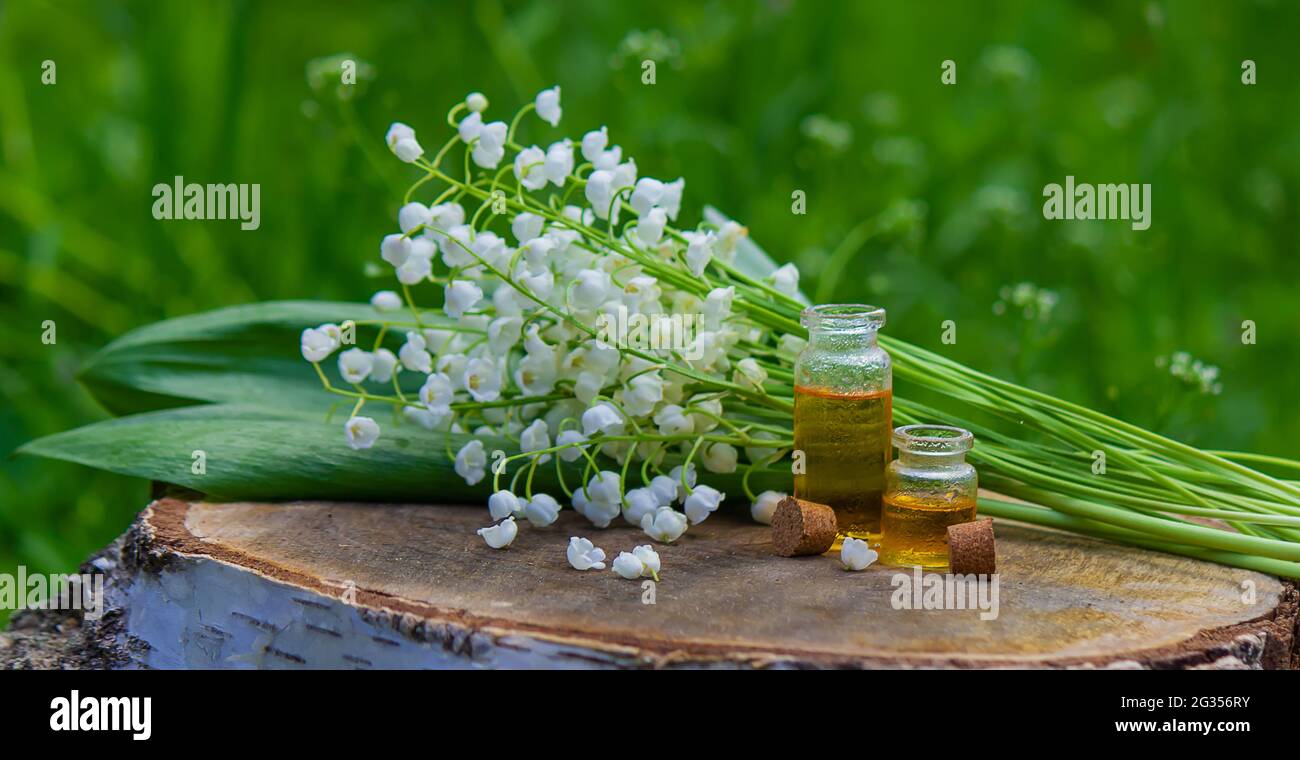 Lily of the valley essential oil in a small bottle. Selective focus. Nature  Stock Photo - Alamy