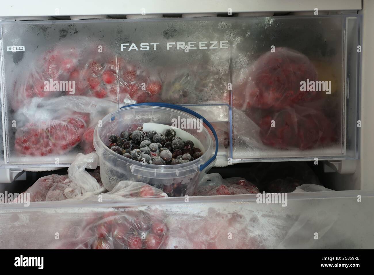 https://c8.alamy.com/comp/2G359RB/frozen-berries-in-the-freezer-inscription-fast-freeze-on-a-plastic-container-for-quick-freezing-2G359RB.jpg