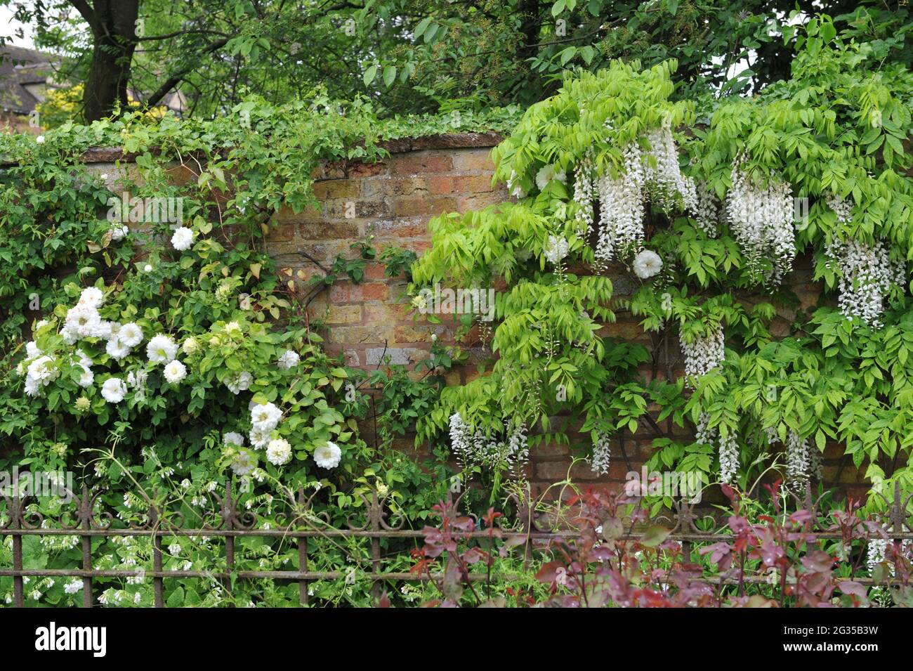 WOLLERTON, SHROPSHIRE / UNITED KINGDOM - 22 MAY 2014: The garden at Wollerton Old Hall Stock Photo