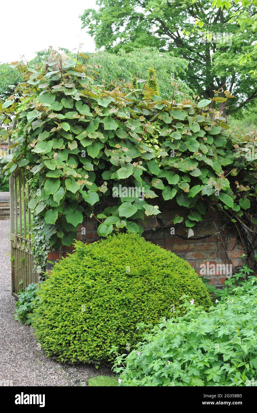 Old english garden wall hi-res stock photography and images - Alamy