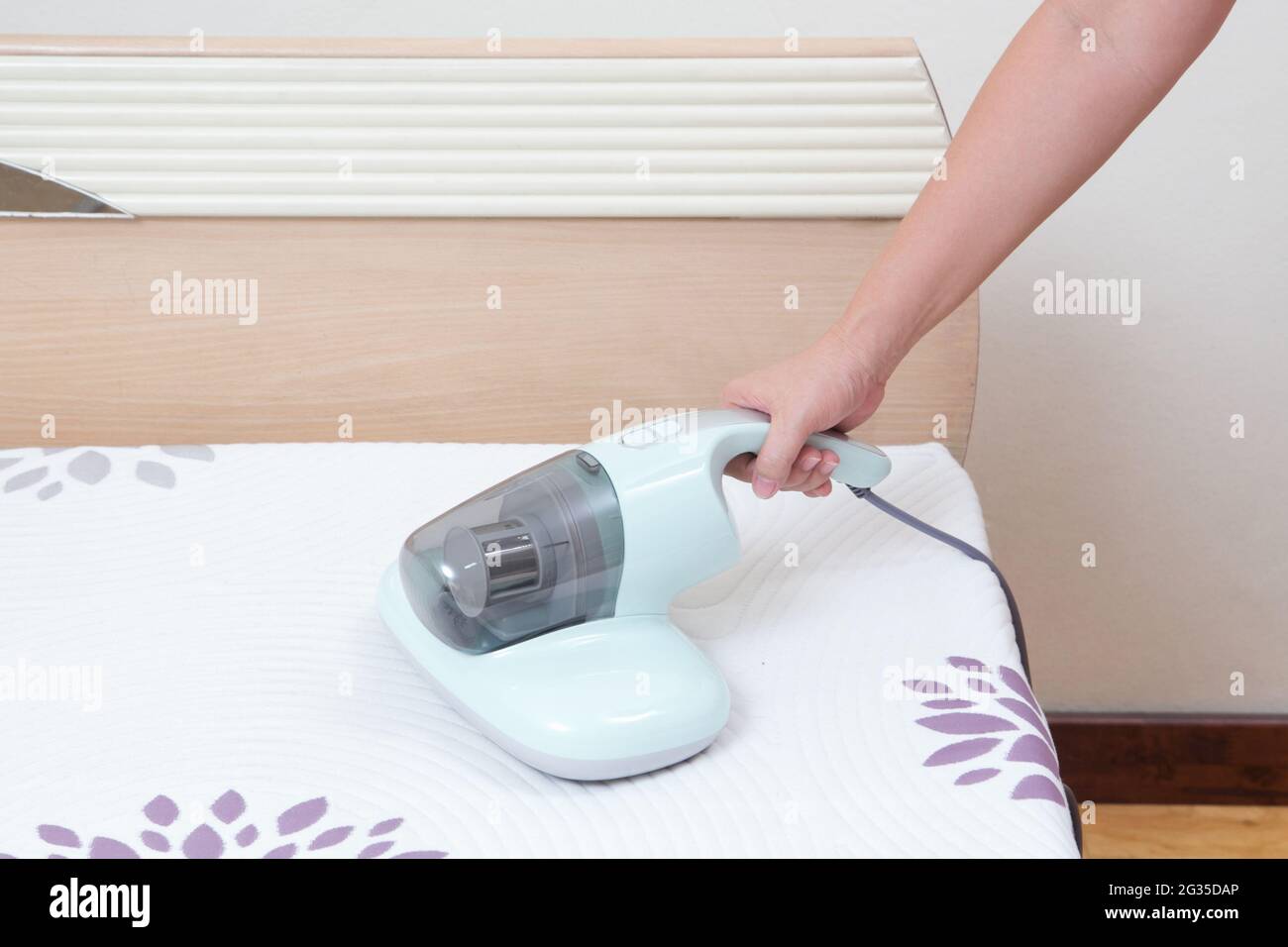 woman using dust mites vacuum cleaner cleaning bed mattress, dust eliminator with UV lamp Stock Photo