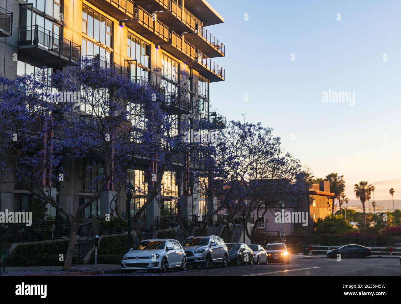 June 13, 2021: The reopening and revitalization of downtown San Diego, California on Sunday, June 13th, 2021 includes purple trees, restaurants with long lines, trains, yachts, a new symphony, Gaslamp district, and homelessness/poverty amidst a beautiful sunset. Credit: Rishi Deka/ZUMA Wire/Alamy Live News Stock Photo