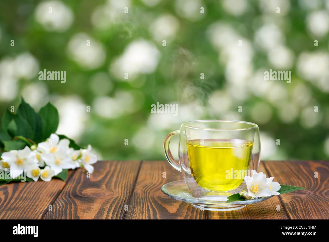 Cup and saucer plant hires stock photography and images Alamy