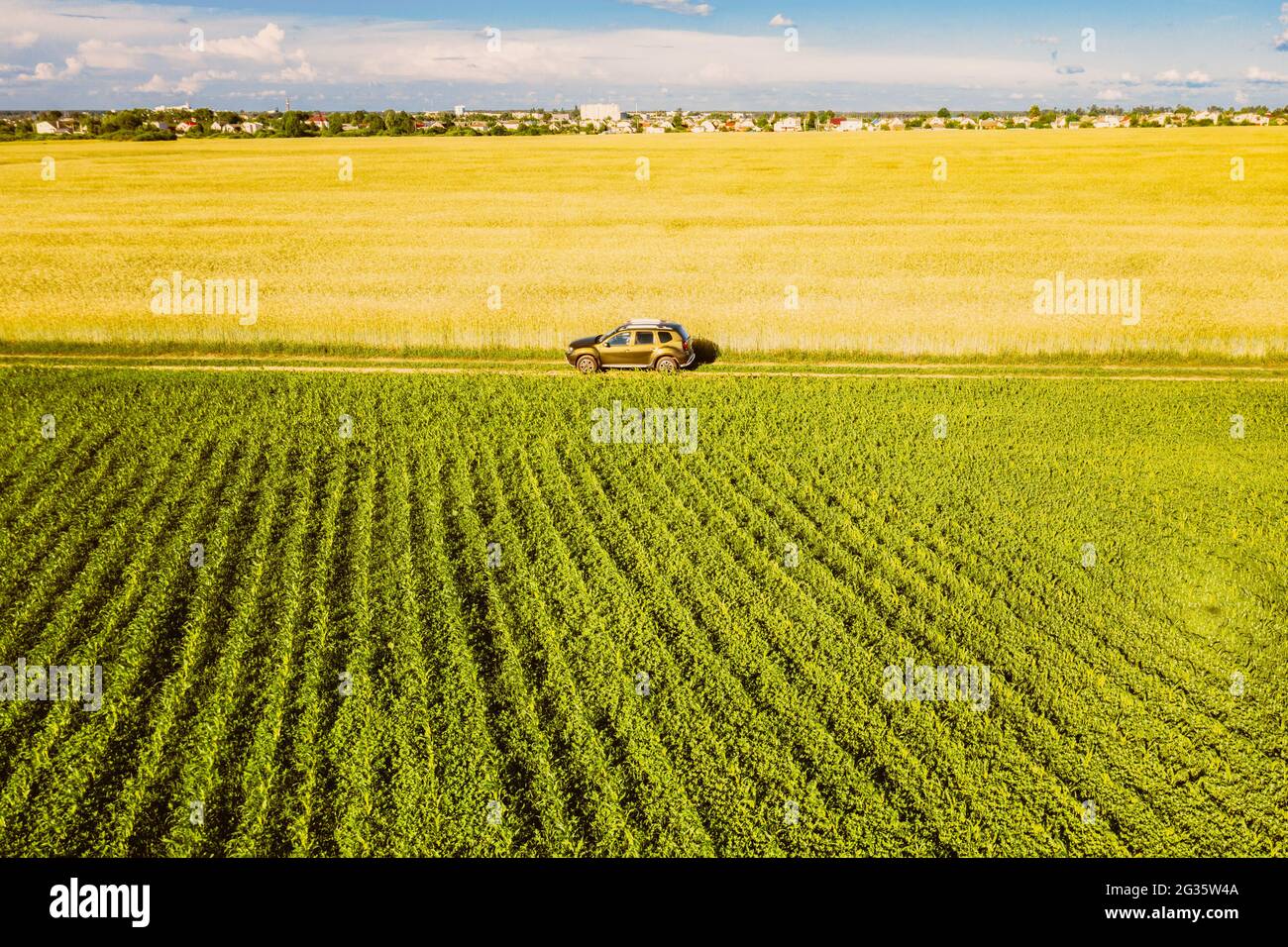 Aerial View Of Car SUV Parked Near Countryside Road In Spring Field Rural Landscape. Car Between Young Wheat And Corn Maize Plantation Stock Photo