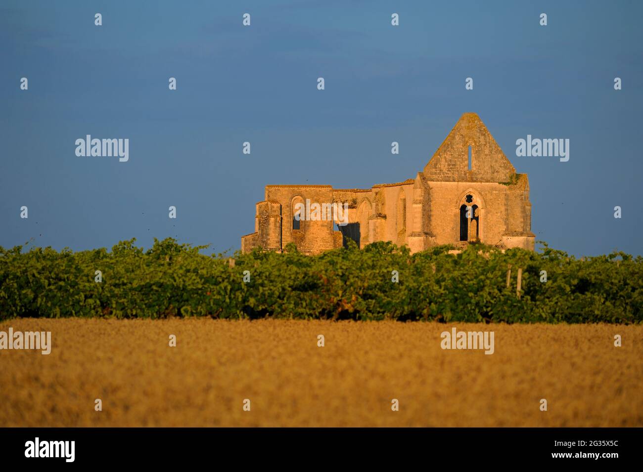 FRANCE, CHARENTE-MARITIME (17) ISLAND OF RE, ABBEY OF NOTRE-DAME-DE-RE, CALLED ABBEY OF CHATELIERS, IS A RUINED CISTERCIAN ABBEY TODAY Stock Photo
