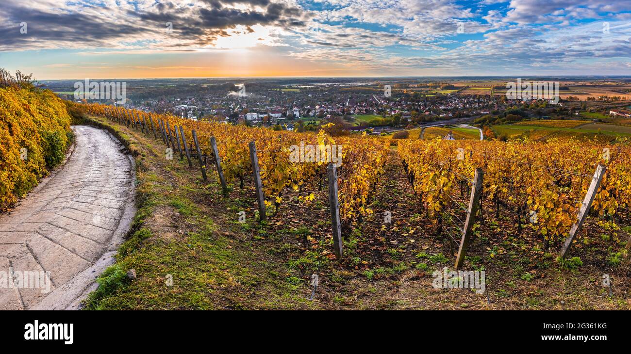 Tokaj, Hungary - Panoramic view of the world famous Hungarian vineyards of Tokaj wine region with beautiful colorful sky at sunrise taken on a warm, g Stock Photo