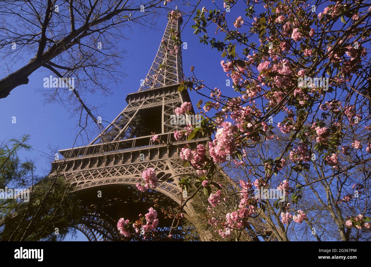FRANCE PARIS (75) 7TH DISTRICT, THE EIFFEL TOWER IN SPRING Stock Photo
