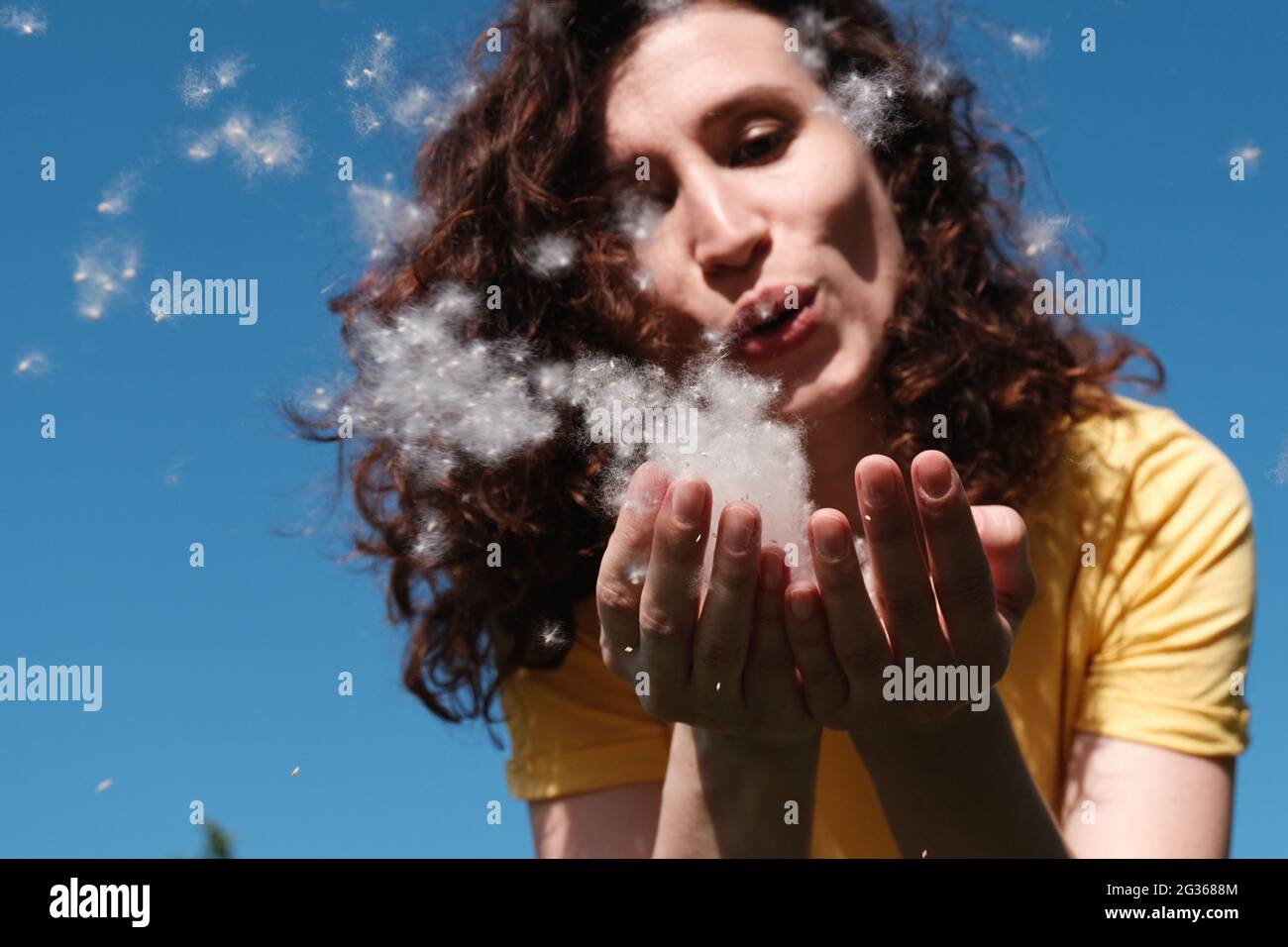 Girl blows poplar fluff off her hands. Fluff flies in different directions Stock Photo