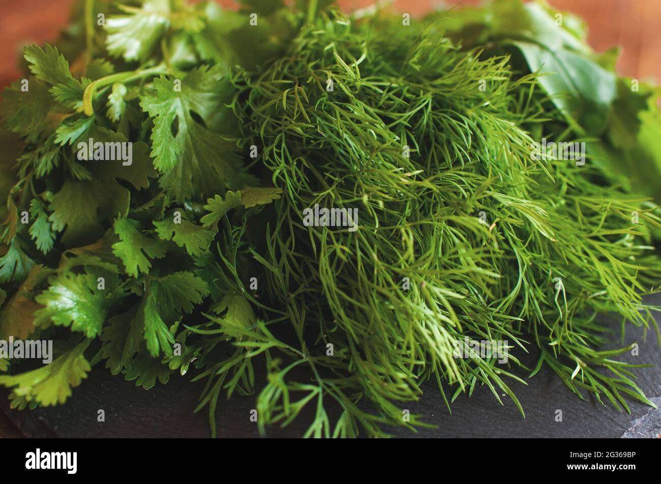 fresh arugula dill and parsley lies on a black board Stock Photo
